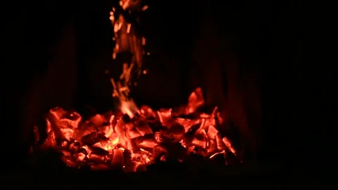 Glowing charcoal Stock Footage 255193107