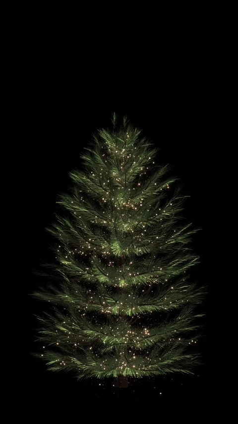 Glowing Christmas Tree with Golden Lights on Black Background Stock Footage 342628800