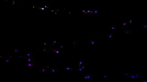 Glowing colorful particles moving background Stock Footage 257798321