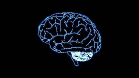 Glowing digital human brain icon on a black background Stock Footage 345550131