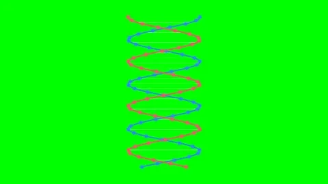 Glowing DNA Double Helix Rotating Strand on Green Screen Video stock 340827407