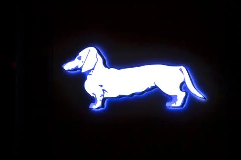 Glowing dog Stock Illustration