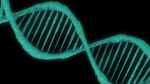 Glowing double helix human DNA structure. DNA Strand, DNA molecules, Vector.. Stock Footage 247078702