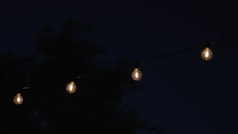 Glowing Edison Bulbs Suspended Under the Dark Night Sky in a Garden Setting Stock Footage 344860877