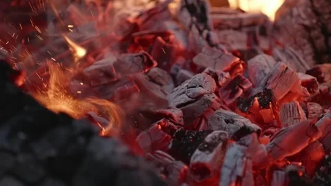 Glowing Ember Bed Radiating Warmth in Fiery Coals Stock Footage 310787617