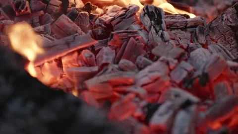 Glowing Ember Bed Radiating Warmth in Fiery Coals Stock Footage 310787634