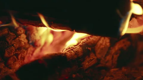 Glowing Embers and Dancing Flames Stock Footage 309915366