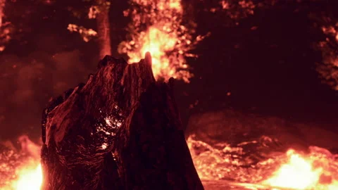 Glowing Embers Dance Around a Charred Tree in the Midnight Forest Stock Footage 346689969