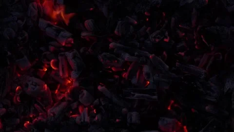 The glowing embers of a dying campfire. Stock Footage 263749279
