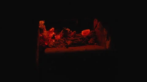 Glowing embers scene. Warm scene of smoldering coal. Closeup of fiery embers in Stock Footage 341662988