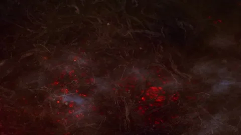 Glowing embers smolder deep inside dark fibrous material texture Stock Footage 327517822