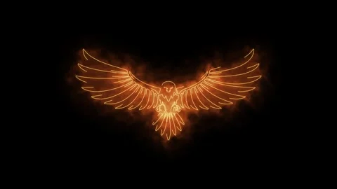 Glowing Fiery Eagle Outline Abstract Digital Illustration Stock Footage 333707215