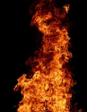 Glowing fire for border and frame backgrounds. Fire line with burning twigs Stock Photos
