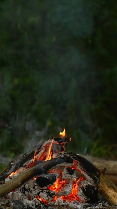 Glowing Fire Coals and Small Flame in Forest Campfire Stock Footage 344746550
