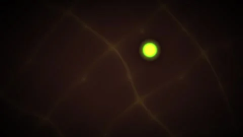 Glowing Firefly Bioluminescence Floating in Dark Night Forest Environment. Stock Footage 340525857