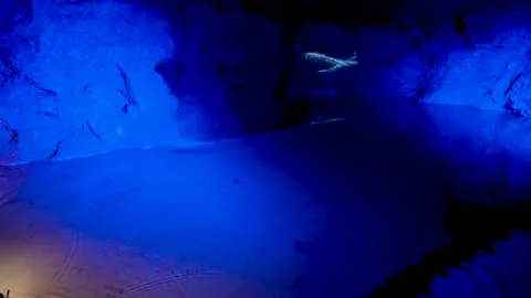 Glowing Fish Light Projections Drift Across Blue Cave Pool Stock Footage 345644452
