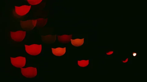 Glowing Flashing Elements Bokeh Cat Muzzle Stock Footage 61282356