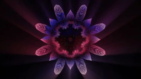 Glowing Floral Art Background Loop Stock Footage 258598805