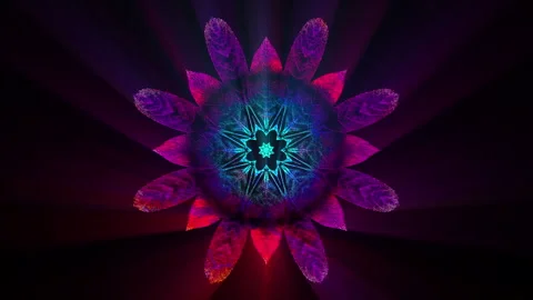 Glowing Floral Art Background Loop Stock Footage 258600166