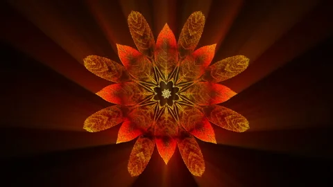 Glowing Floral Art Background Loop Stock Footage 258601473