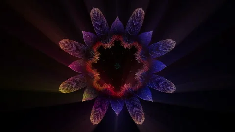 Glowing Floral Art Background Loop Stock Footage 258601519