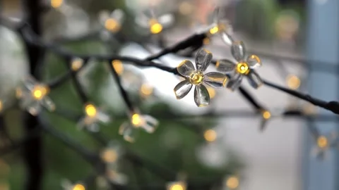 Glowing Flower Shaped LED String Lights Stock Footage 346858125