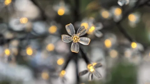 Glowing Flower Shaped LED String Lights Stock Footage 346858145