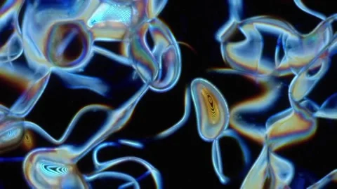 Glowing Fluid Lines Animation – Abstract Neon Motion Vidéo 333717686