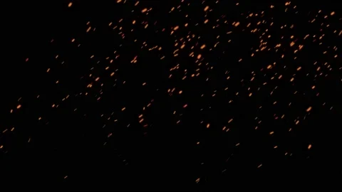 Glowing flying ember, burning ash particles. 動画素材 169034672