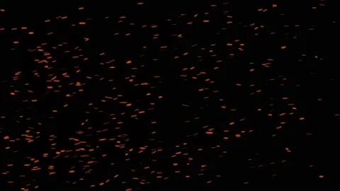 Glowing flying ember, burning ash particles. Video stock 169035131