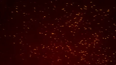 Glowing flying ember, burning ash particles. 動画素材 169035338