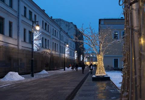 Glowing forest in the alley Stock Photos
