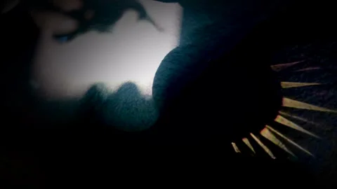 Glowing Forms: Dots and Geometric Shapes in a Luminous Flow Stock Footage 302947612