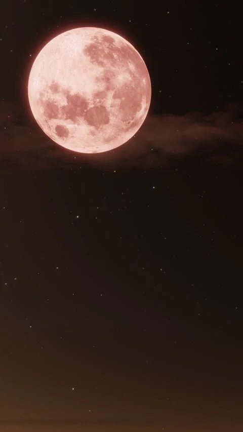 Glowing Full Moon in Dark Starry Night Sky in Vertical Format Stock Footage 345425614