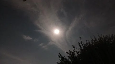 Glowing Full Moon Through Night Clouds and Trees 스톡 사진
