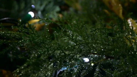 Glowing garlands on green trees Stock Footage 145376970