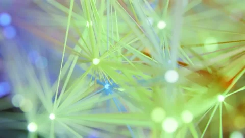 Glowing Geometric Plexus Network with Floating Particles and Light Lines 库存影片 331110289