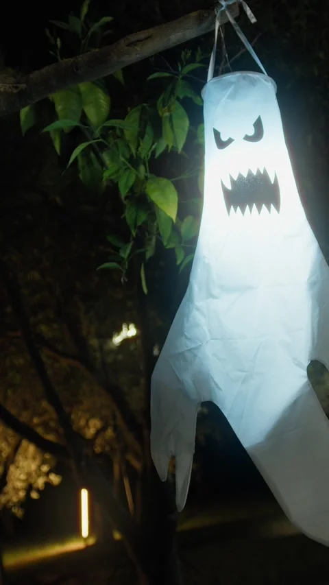Glowing Ghost In The Forest On Halloween Night Video stock 316955179