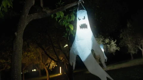 Glowing Ghost In The Forest On Halloween Night Video stock 316959008