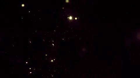 Glowing Golden Firefly Particles Floating on Black Background Motion Backgro Stock Footage 346131522