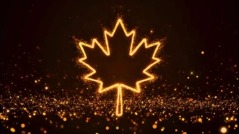Glowing Golden Maple Leaf Sparkle Animation 库存影片 338065022