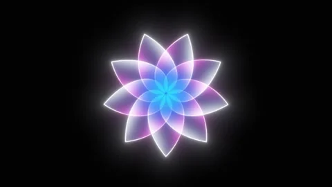 Glowing Gradient Rose Petal Mandala Animation on Black Background. 4K Video stock 328577813