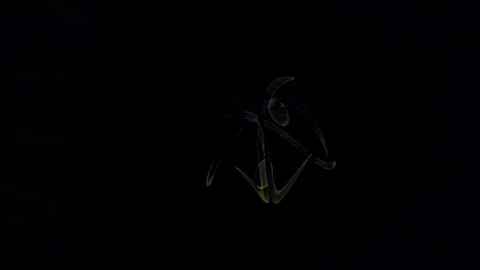 Glowing Green 3d Abstract Geometric Symbol Rotating Animation Stock Footage 343702115