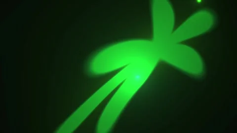 Glowing green cannabis leaf closeup. Stock Footage 340019370