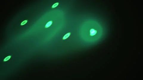 Glowing green cells in microscope. Stockbeeldmateriaal 333925948