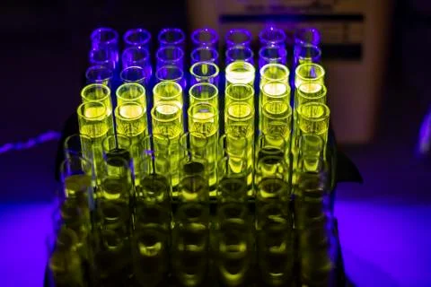Glowing green compound collected from column chromatography in multiple test  Stock Photos