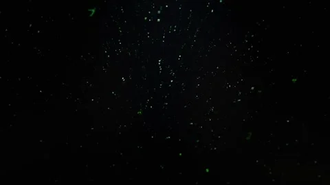 Glowing Green Digital Code Characters Scattered on Black Background Stock Footage 334733401