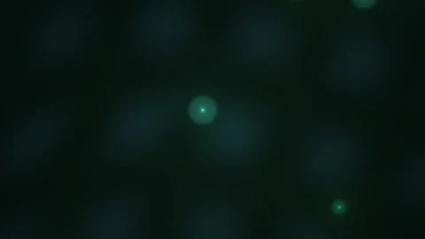 Glowing Green Dots on Dark Background. Stock Footage 334874890