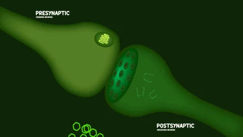 Glowing green effect of CBD on the endocannabinoid system Stock Footage 256033275