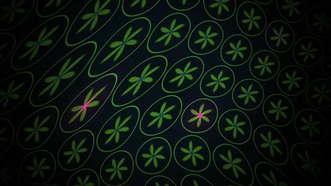 Glowing Green Geometric Flower Grid Pattern Waving Animation for Dark Digit.. Stock Footage 344720824